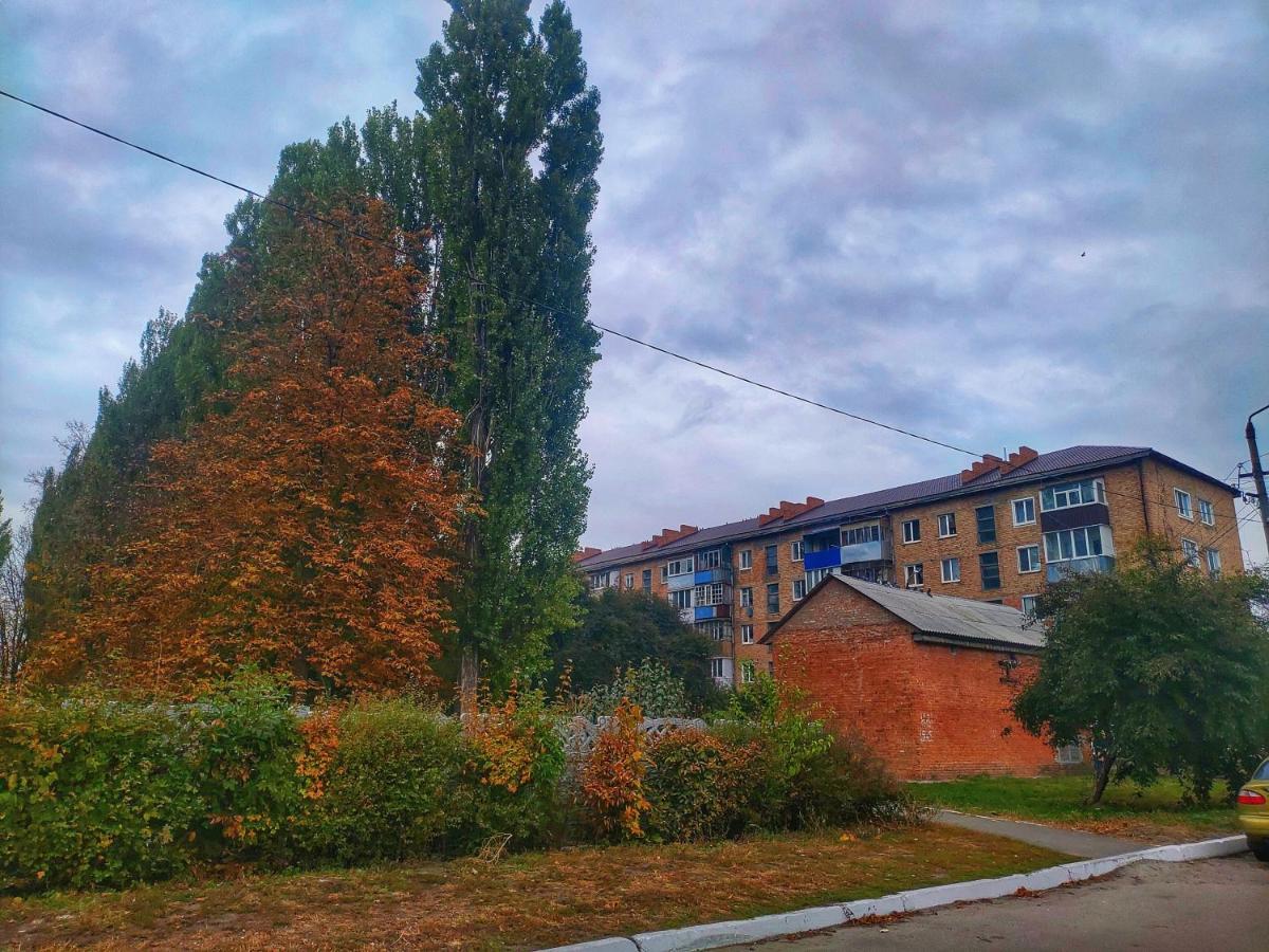 Quartira Na Vulici Lesi Ukrainki Apartamento Uzyn Exterior foto